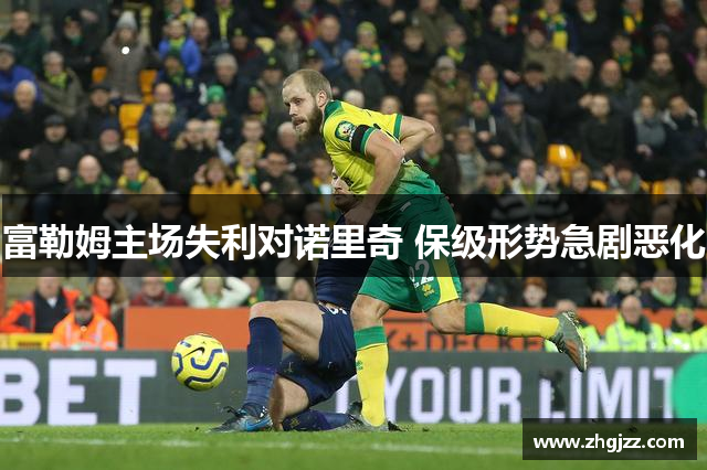 富勒姆主场失利对诺里奇 保级形势急剧恶化
