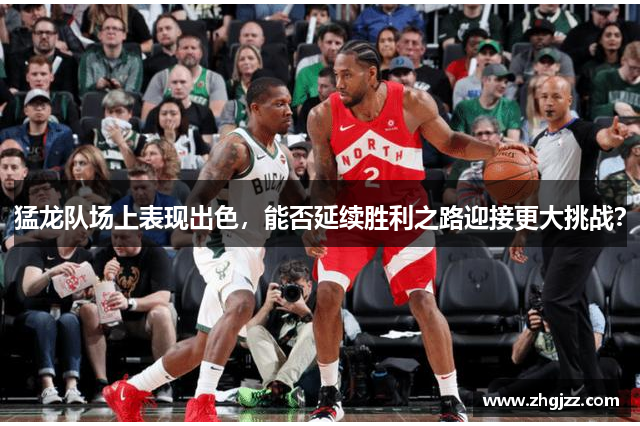 猛龙队场上表现出色，能否延续胜利之路迎接更大挑战？