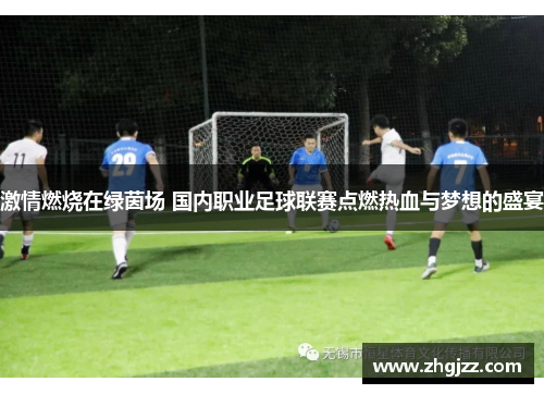 激情燃烧在绿茵场 国内职业足球联赛点燃热血与梦想的盛宴