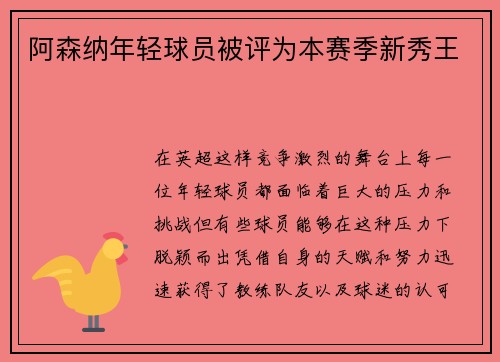 阿森纳年轻球员被评为本赛季新秀王
