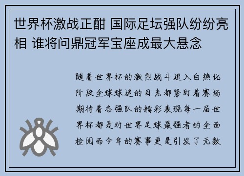 世界杯激战正酣 国际足坛强队纷纷亮相 谁将问鼎冠军宝座成最大悬念